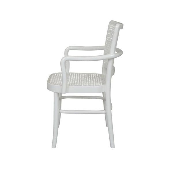 Palm Armed Rattan Dining Chair