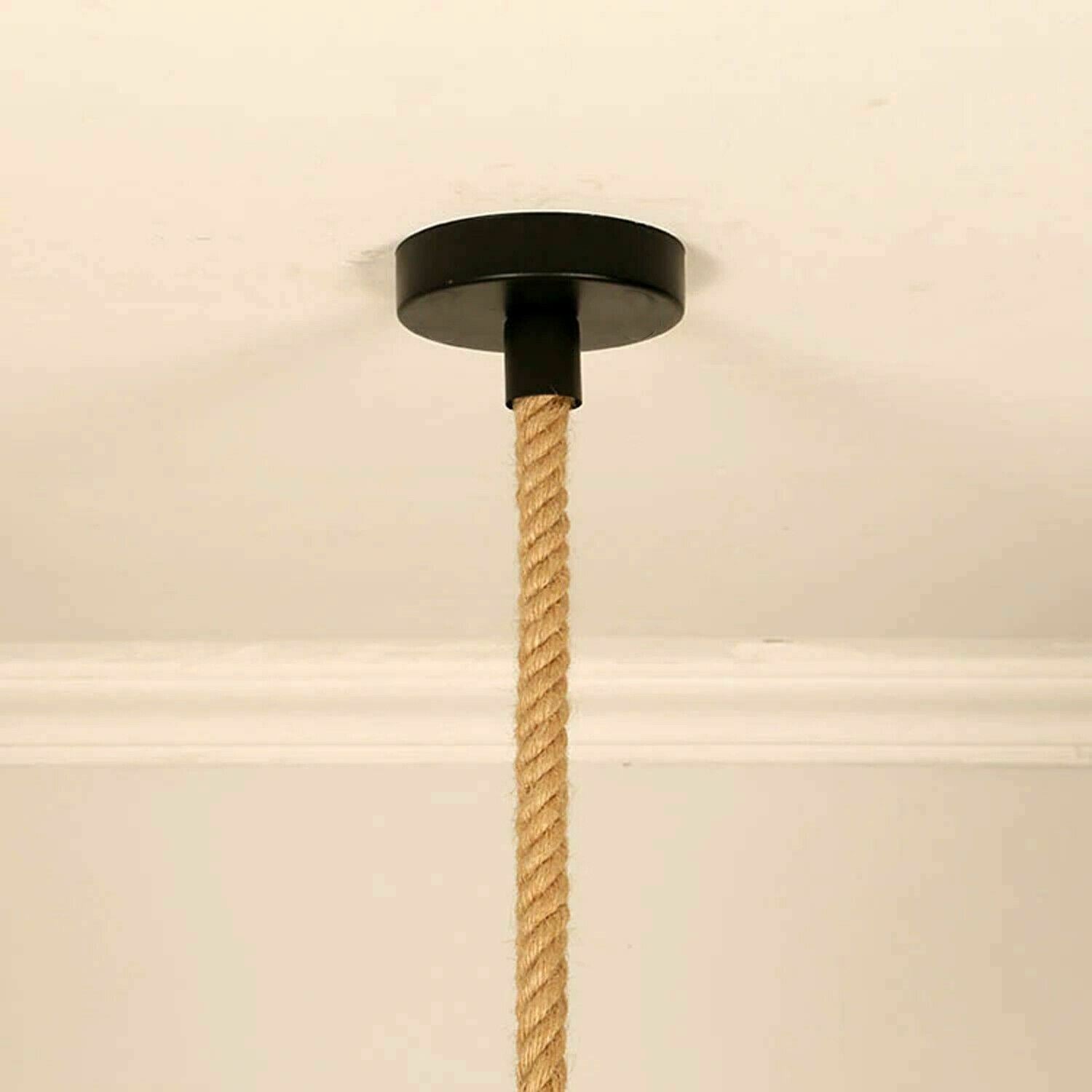 Industrial Hemp Rope Barn Slotted Pendant~1149